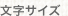 文字サイズ